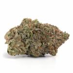 Afghan Kush