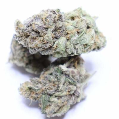 Candy Land