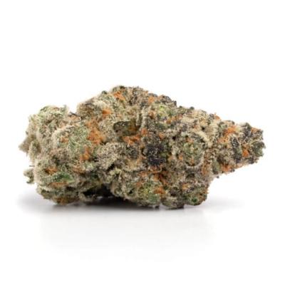 Gelato