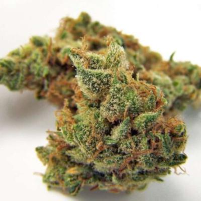 Northern Lights
