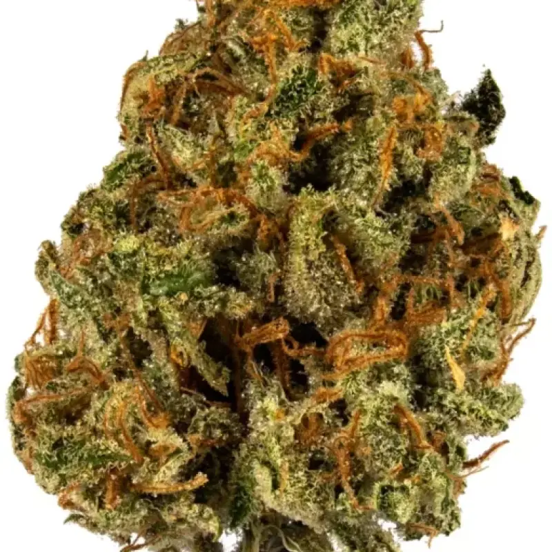 Understanding Marijuana: History, Uses, and the Rise of Legal Hemp Flowers