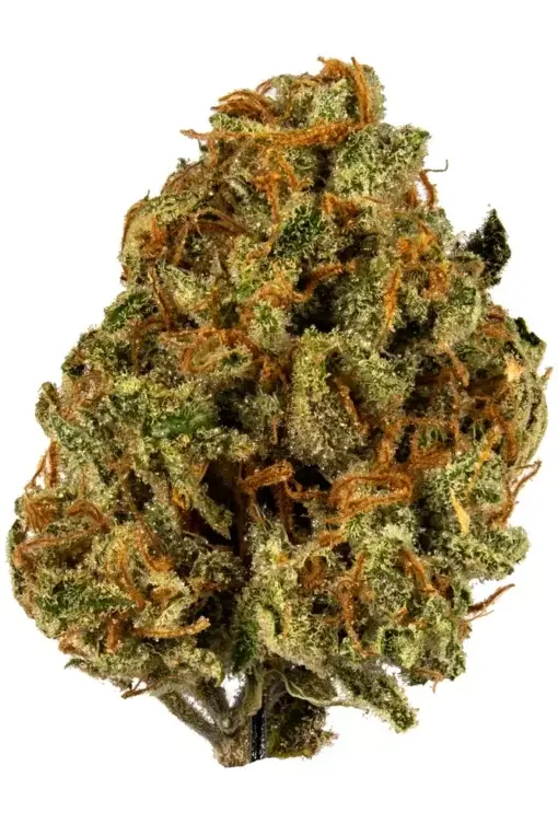 Understanding Marijuana: History, Uses, and the Rise of Legal Hemp Flowers
